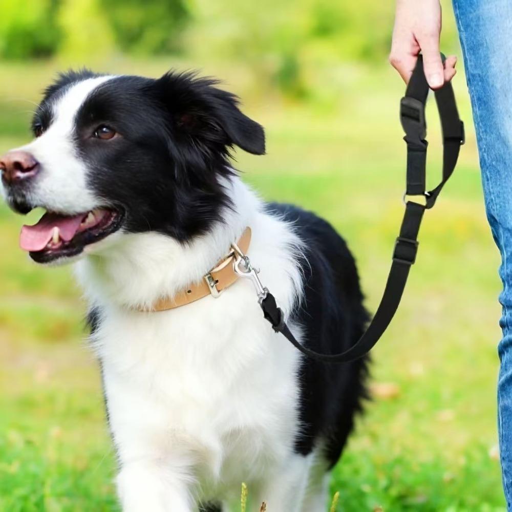 Solid Color Adjustable Pet Car Seat Belt Two-in-One Nylon Lead Leash Backseat Safety Harness Collar for Dogs Pet Accessories