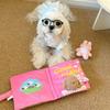 Interactive Puzzle Book Toy Dogs Cats - Plush Snuffle Mat With Treat Dispensing Scent Tracking Chewing Mental