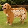 Adjustable Dustproof Dog Pants Breathable Pet Outdoor Coverall Waterproof Dog Pants  Strolling