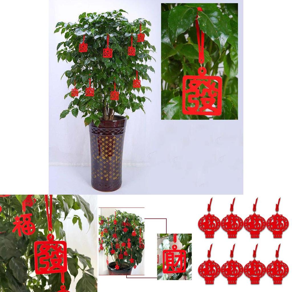 Beautifully Crafted 8pcs Chinese New Year Cny Outdoor Red Decor Festival Bonsai Money Tree Pendant