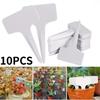 10PCS Outdoor Plant Labe Large Waterproof Plastic Plant T-Type Tags, Durable Nursery Garden Markers for Herbs Flowers Vegetable