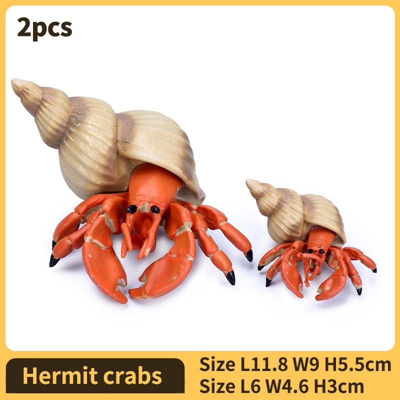 Hermit Crab Figurine Sea Life Animals Model Figure Educational Toy Boys Girls Kids Ages 18M for and Kid Friendly Entertaining Fun Play Safe