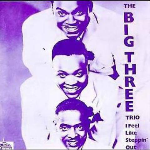 

LP Record BIG THREE TRIO - I Feel Like Steppin Out H804 Dr Horse 1986 Europe Blues Used