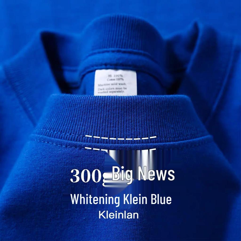 Unisex Heavyweight 300g Cotton Crew Neck Solid Color T-Shirt