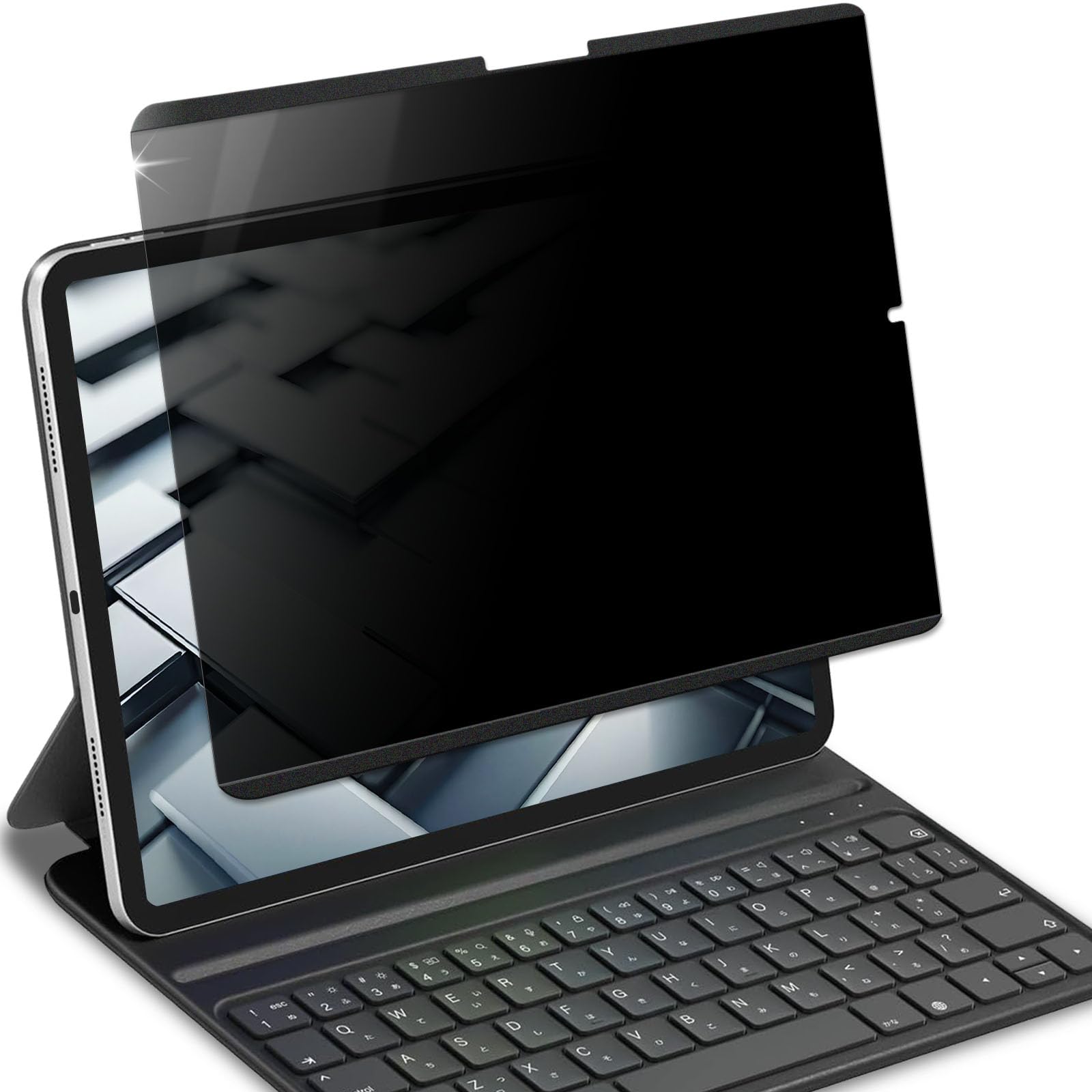 

Lifeinnotech Анти-шпионский магнитный защитный экран для iPad Pro 13-inch (М4) (2024) с блокировкой синего света