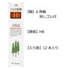 Tombow Ki Monogatari 1 Dozen Rubber-Tipped Pencils, HB, (LG-KEAHB)