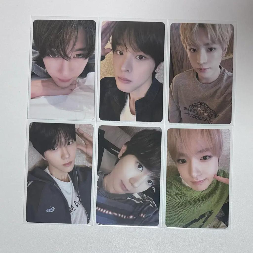 NCT Wish Color KMS Winner Pokaset