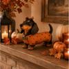 Cute Halloween Dachshund Pumpkin Resin Figurine Home Decor Accent Fall Season