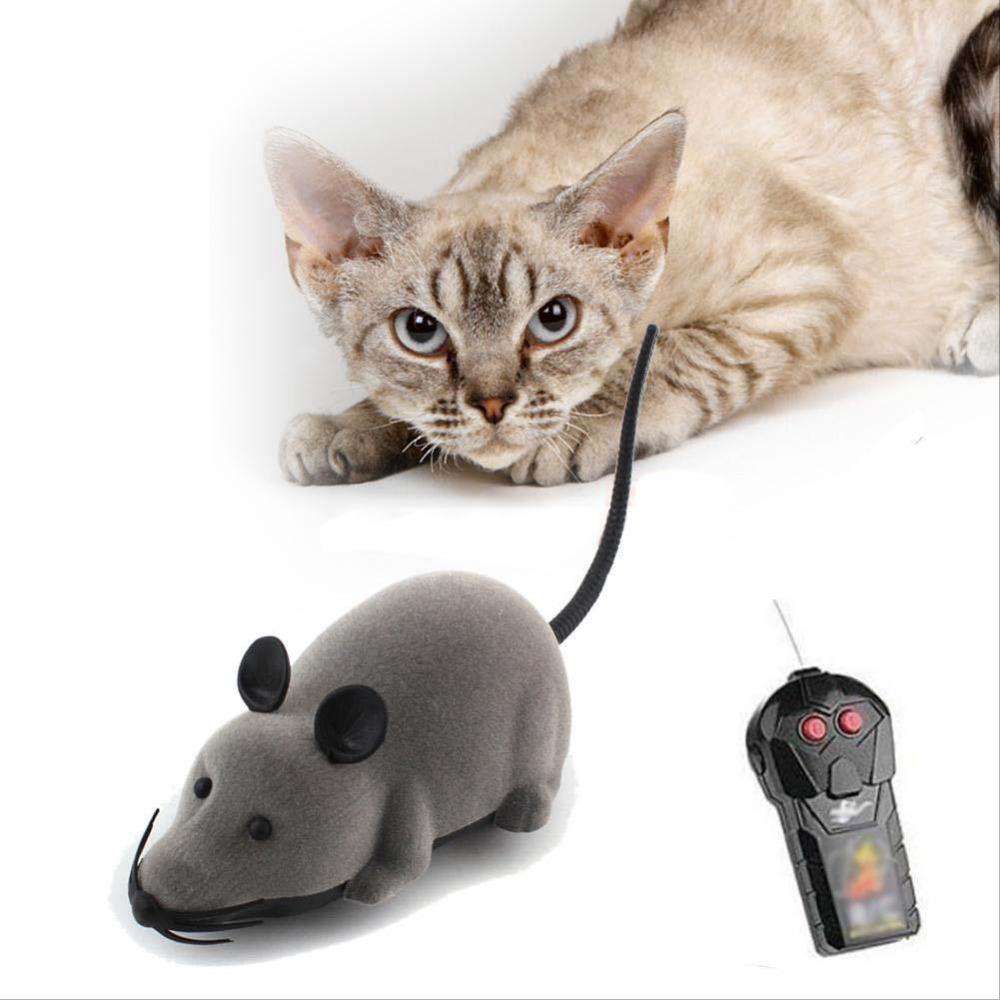 Игрушка для кошки. Мышь на экране для кошки. Игрушка мышка для кошки. Резиновый кот огонек. Игрушки для котят мышки.