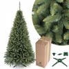 Polish Spruce Christmas Tree, Dense As Life