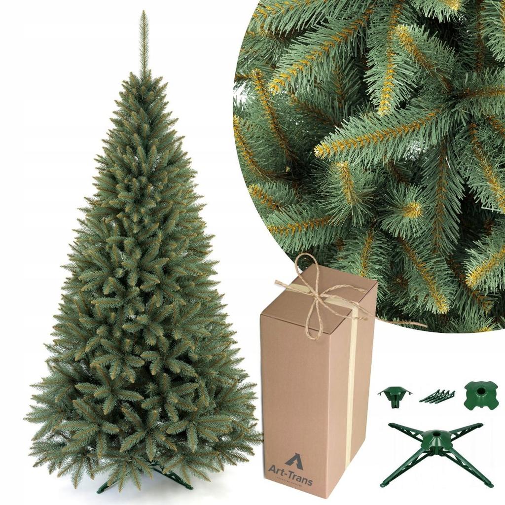 Polish Spruce Christmas Tree, Dense As Life