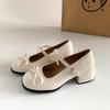 French Silver Small Man Light Mouth Thick High Heel Single Shoes Women's 2025 New Summer Skirt JK Mary Jane Shoes