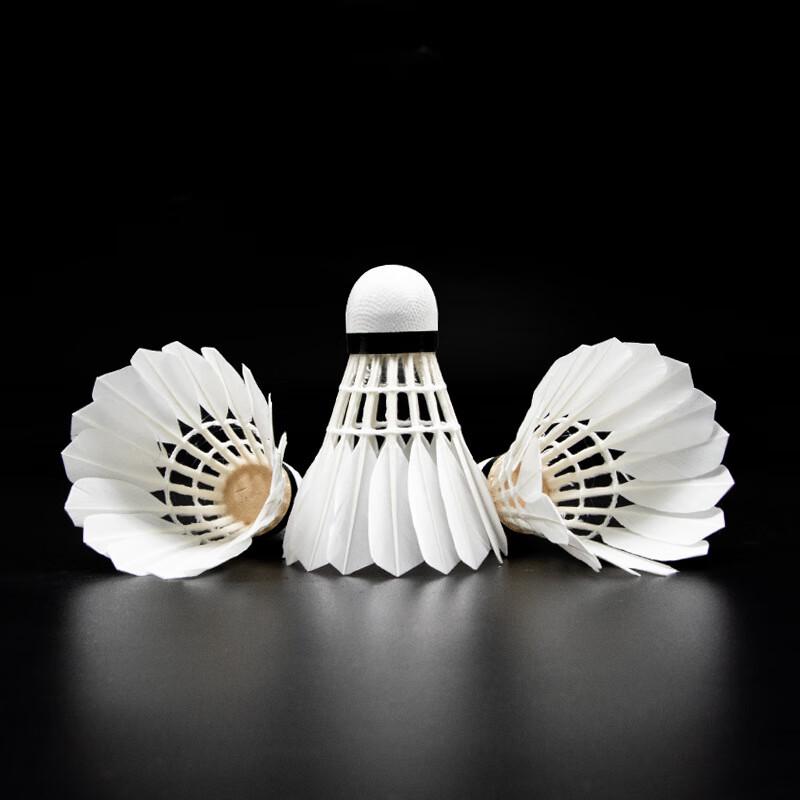 WEZHO Training Badminton Shuttlecocks