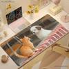 Funny Rock Meme Cat Mouse Pad Black Large Desk Mat for Gamers  Cat Lovers