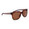 Womens/Ladies Grand Tortoise Shell Sunglasses