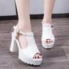 High-heeled sandals women's thick heels 2025 summer new sandals girls Korean version fashionable and sexy sandals women with fish mouth