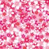 Toyo Origami Sakura Chiyogami Collection 15cm Square 860851