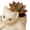 5/8-Inch Grooming Cat Planter Pot Playing Ball Cat Succulents Herb Plants Mini Flower Pot Container Home Balcony Garden Decoration