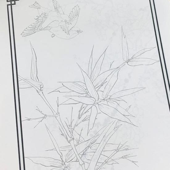 45663 Pcs Chinese Painting White Drawing Copying Album Beginner Line Drawing Copybook Chinese Calligraphy Paper Book Chinese Characters Tracing