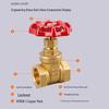Forged Brass Internal Thread Gate Valve