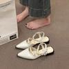 Beautiful pointed head low heel bag head sandals women's 2025 new summer with skirt high heels thick heel Mary Jane single shoes