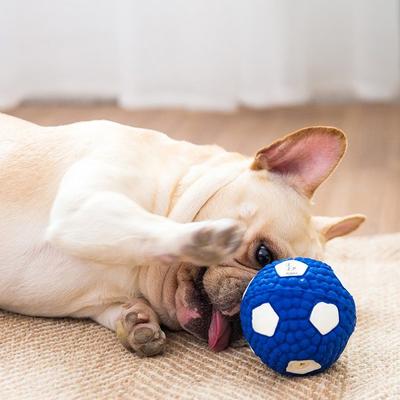 Jezepet Latex Sport Hundespielzeug S, Fußball, 1 Stück
