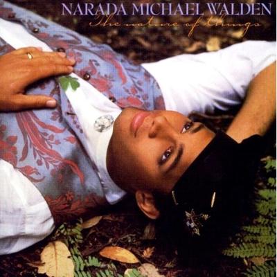 LP Record NARADA MICHAEL WALDEN - Nature Of Things 125176 WARNER BROS. RE 1985 Japan Soul/Funk Used
