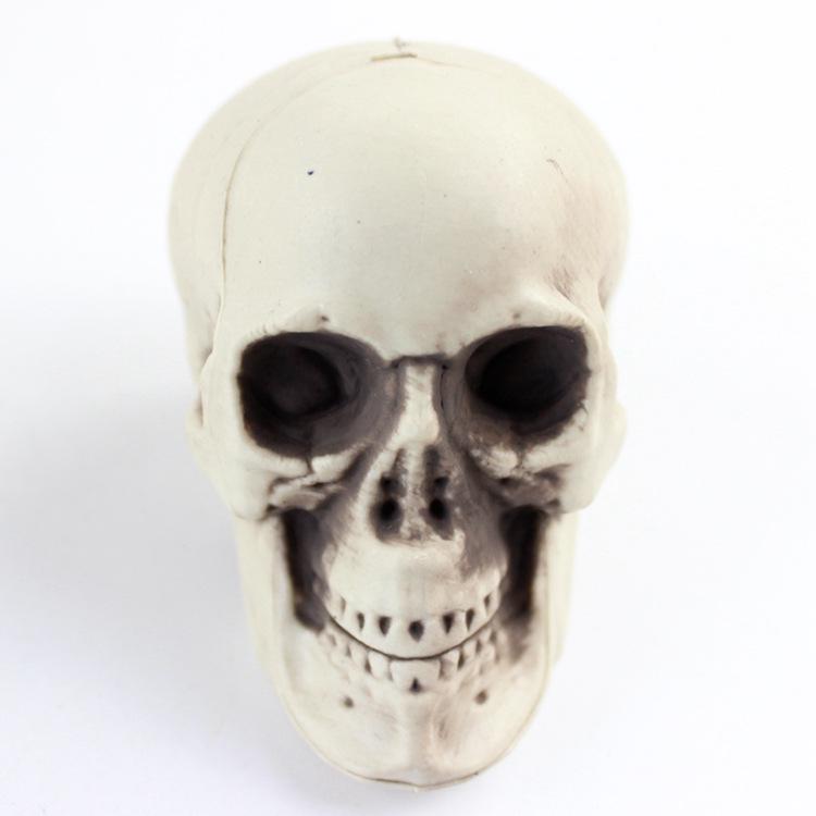 Shuomei menschliches Schädelmodell für Halloween-Dekoration & Spukhaus-Ornamente