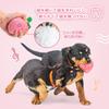 Hreaiaps 10 Pack Dog Toys, Squeaky Plush Chew Toys Set, Safe Durable Teething Fetch Throwing Toys for Puppies Small Medium Dogs, Washable (H01)