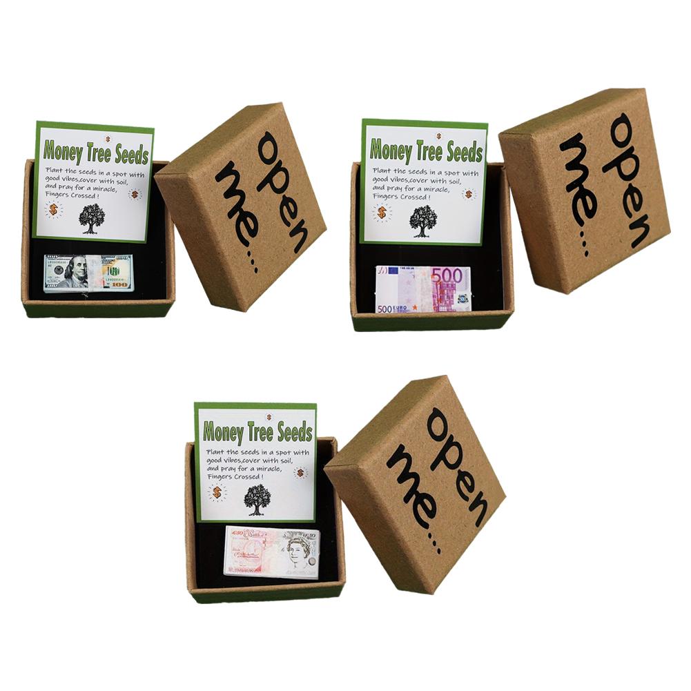 Long Distance Relationship Gift "Open Me" Money Tree Seeds Prank Gift Box For Birthday, Office Party, Christmas Valentines Gifts