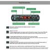 DIY Car Audio MP3 Player Module Bluetooth 5.3 2*30W 12V Amplifier Decoder Board 1 Set for Auto Sound Retrofit