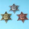 Six Point Star Brooch Metal Construction Easy Clip On Designs Accessories For Weddings Corporate Event