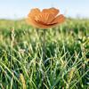 Yousheng Rusty Flower Garden Stake Żelazna Ozdoba Kwiatowa Zewnętrzna Rzeźba Kwiatowa do Ogrodu Tyłnego Trawnika Tarasu