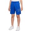 Nike Kids Shorts Moderate DM8532-480