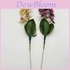Phalaenopsis Künstliche Blume Für Hochzeit Heimdeko Und Foto Requisiten