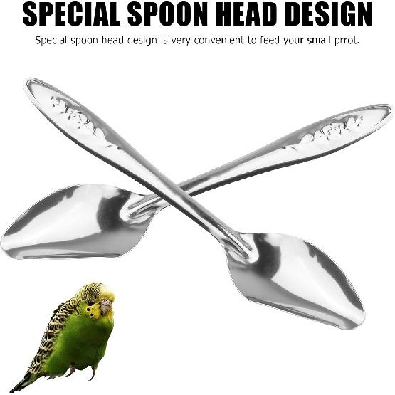 YAODHAOD 4.7" Bird Parrot Stainless Steel Metal Feeding Spoon Parrot Feeding Scoops Hand Feeding Spoons for Parrot (3PCS)