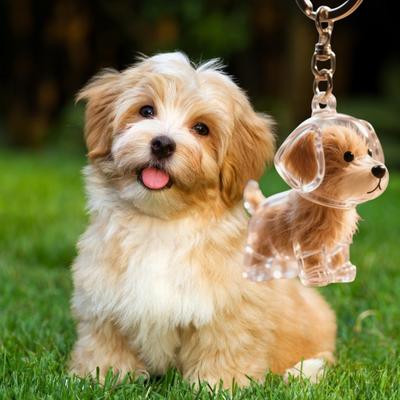 Niedliche Hundeform Tragbarer Tierhaarsammler Schlüsselanhänger für Hunde Katzen Besitzer Fell Aufbewahrungsbox Erinnerungsstücke Taschenanhänger