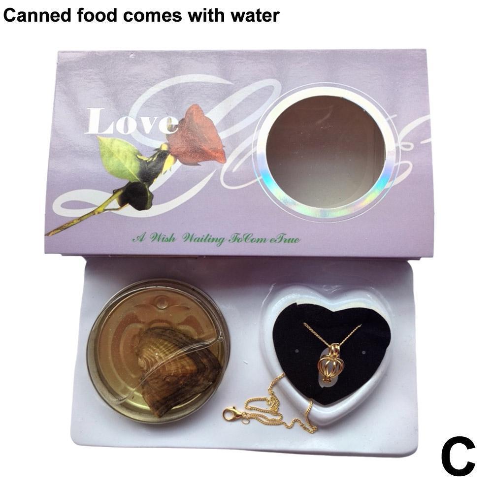 Wish Pearl Necklace Kit Innovative Chain Charm For Holiday Gift Diy Jewelry Making DIY Wish Pearl Necklace Kit