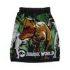 60cm Length Rolled Towel Jurassic World Wild Jungle Antibacterial Treatment UV Shielding Boys 4985015800