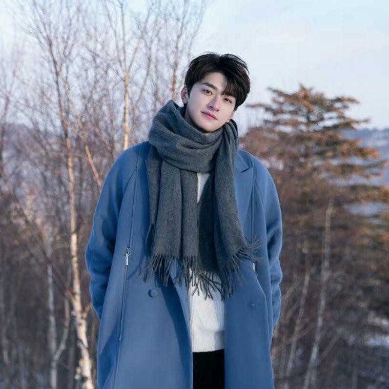 Herbst und Winter Neuer Damen-Kaschmirschal Einfarbiger Kaschmir-Imitat-Zugschal Dicker Kaschmir-Stickerei-Schal