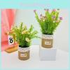 Bellis Perennis Potted Plant Linen Flower Pot For Hotel Dining Room Decoration