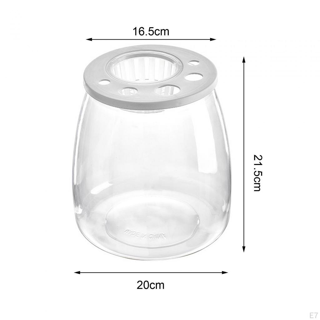Bowl Tank Creative Transparent Table Ornament Trendy DIY Micro Landscape Aquarium for Office