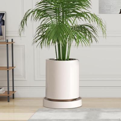 Soporte para Plantas Rodante con Ruedas Bandeja de Drenaje Integrada Soporte con Ruedas Transpirable Grande