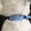 [USED] Familiar Famichan Bear Teddy Bear Plush Toy