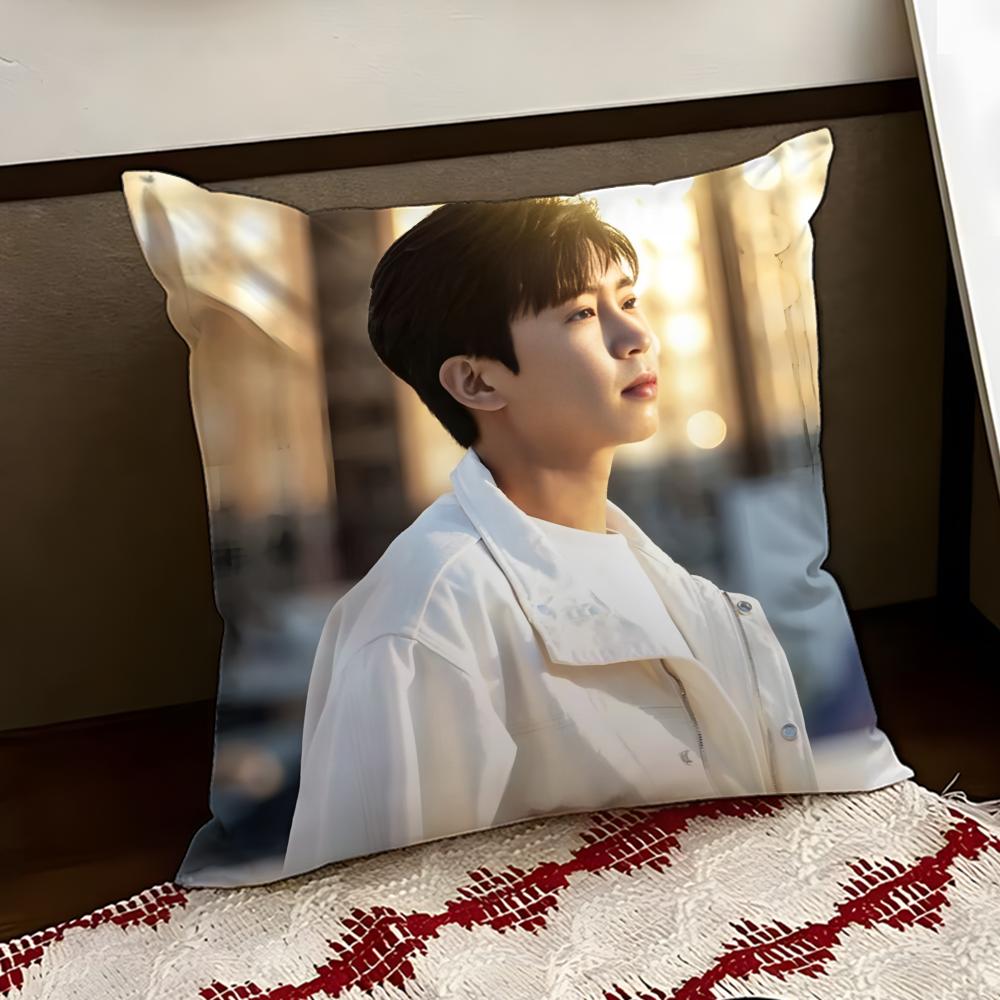 LLim Young WWoong Cushion Cover Reversible Soft Durable Pillow Cover Home Car MultiScene Use for Daily Comfort