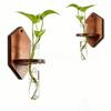 Home Ornaments Hydroponic Planter Shelf Vase Flower Pot Wall Shelf Planter Holder  Kitchen