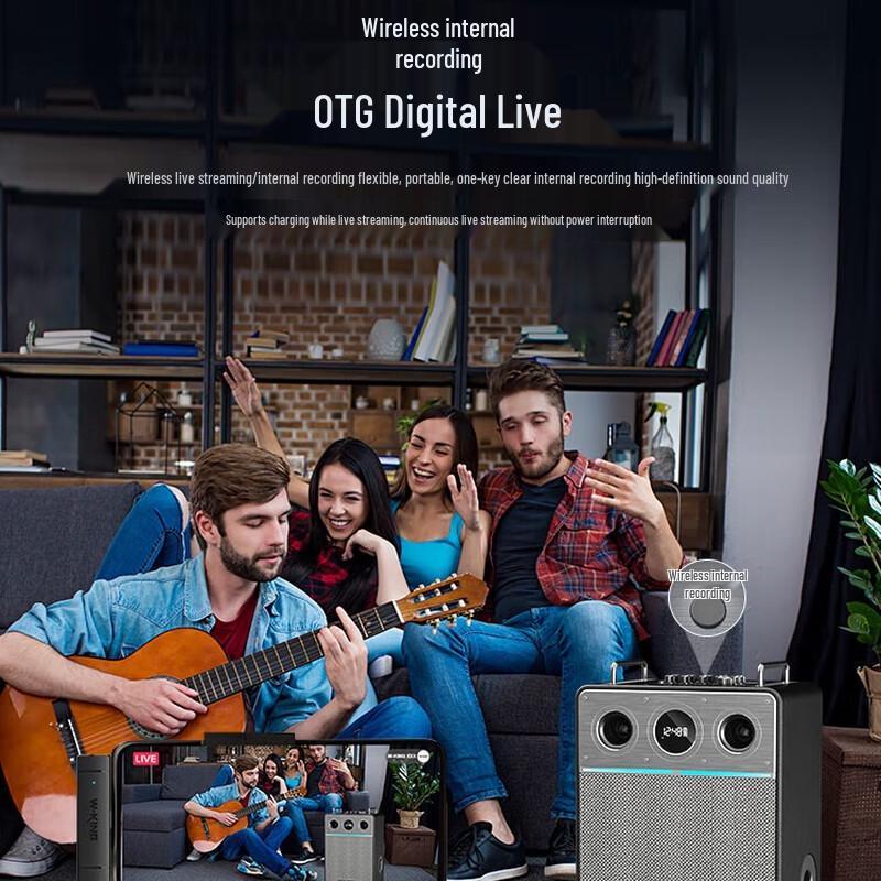 W-King T6Pro Outdoor KTV Bluetooth Speaker