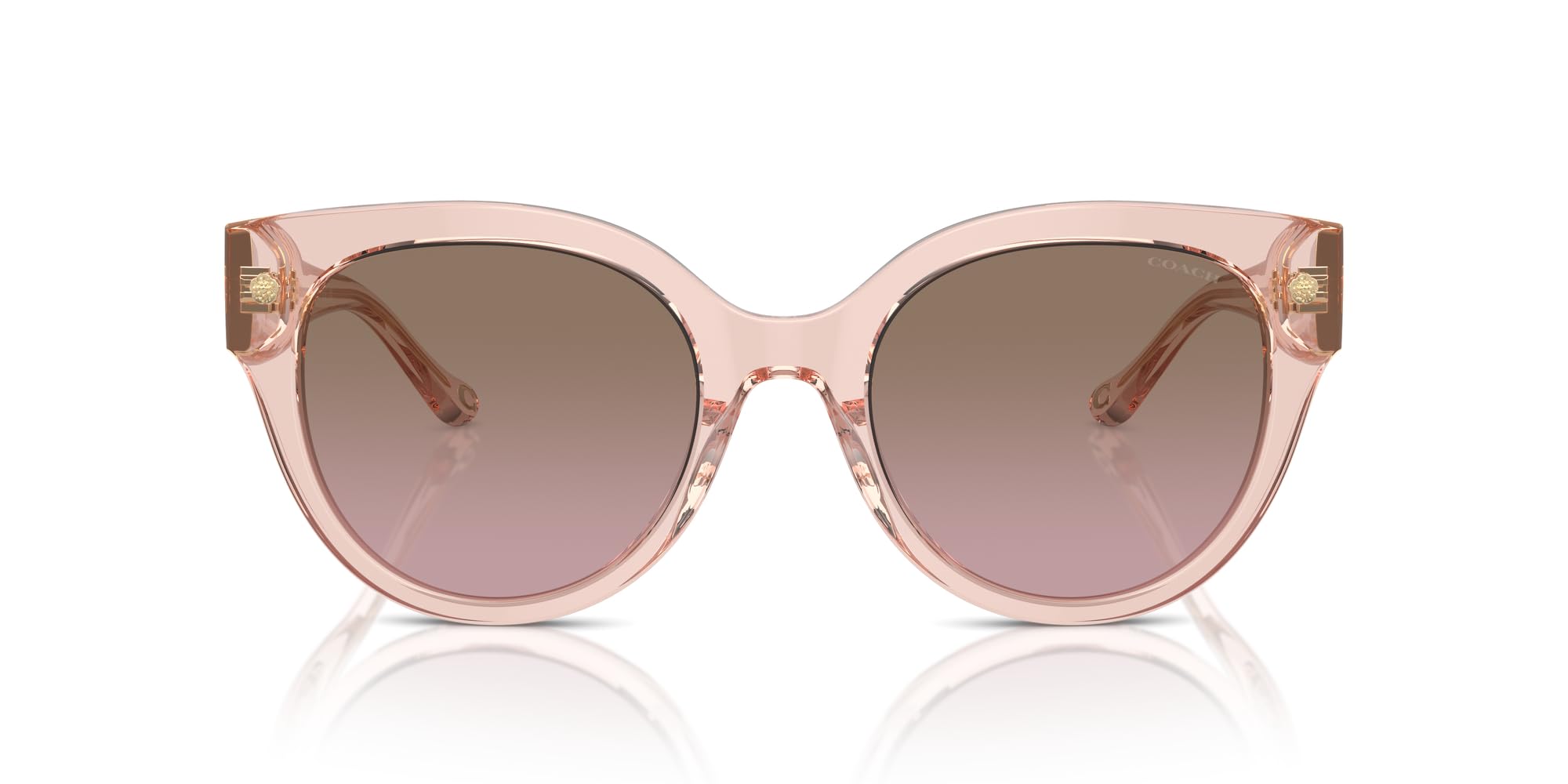 

Coach HC8393U CR612 Sunglasses TRANSPARENT DUSTY ROSE 53 Women s
