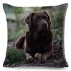 Cute Black Labrador Dog Double-Sided Printed Pillow Cover Short Plush Suitable Living Rooms Bedrooms Sofas Throw Cushion Cover