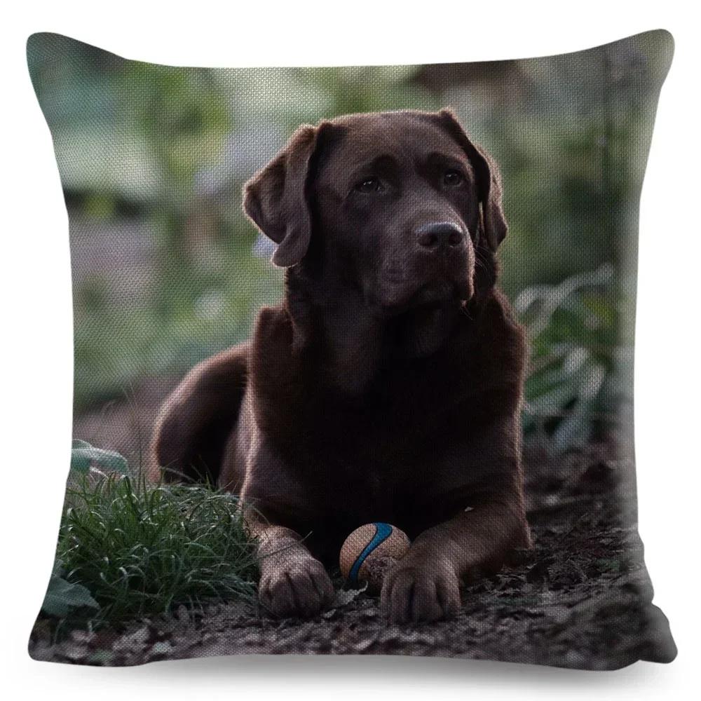 Cute Black Labrador Dog Double-Sided Printed Pillow Cover Short Plush Suitable Living Rooms Bedrooms Sofas Throw Cushion Cover